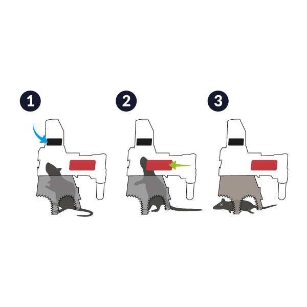 Piège Rongeurs SafeTrap